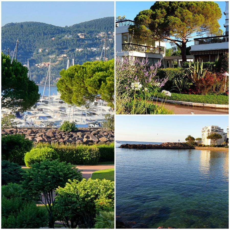 Garden And Beach Sea View Apartment Cannes Mandelieu La Napoule Ngoại thất bức ảnh